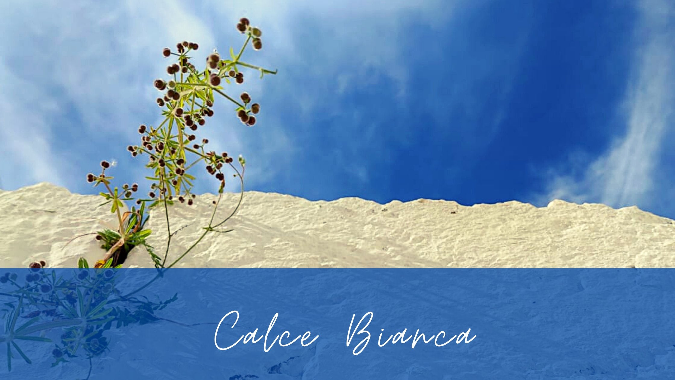 CALCE BIANCA