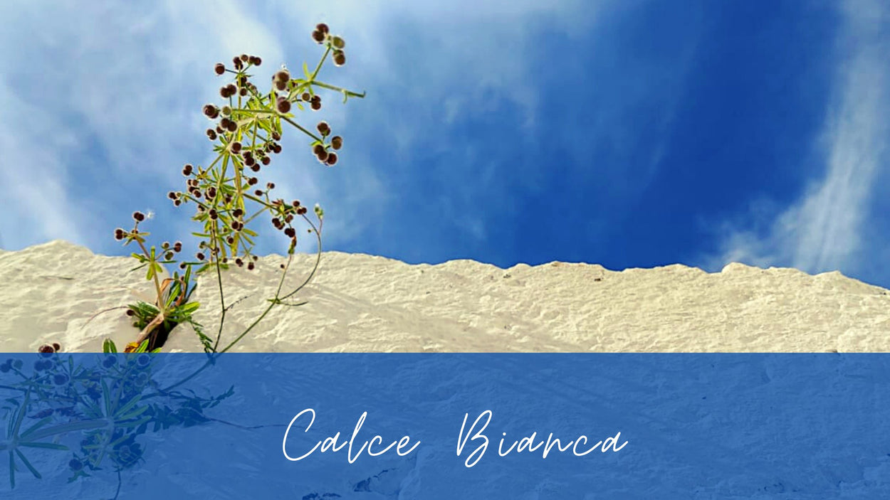 CALCE BIANCA