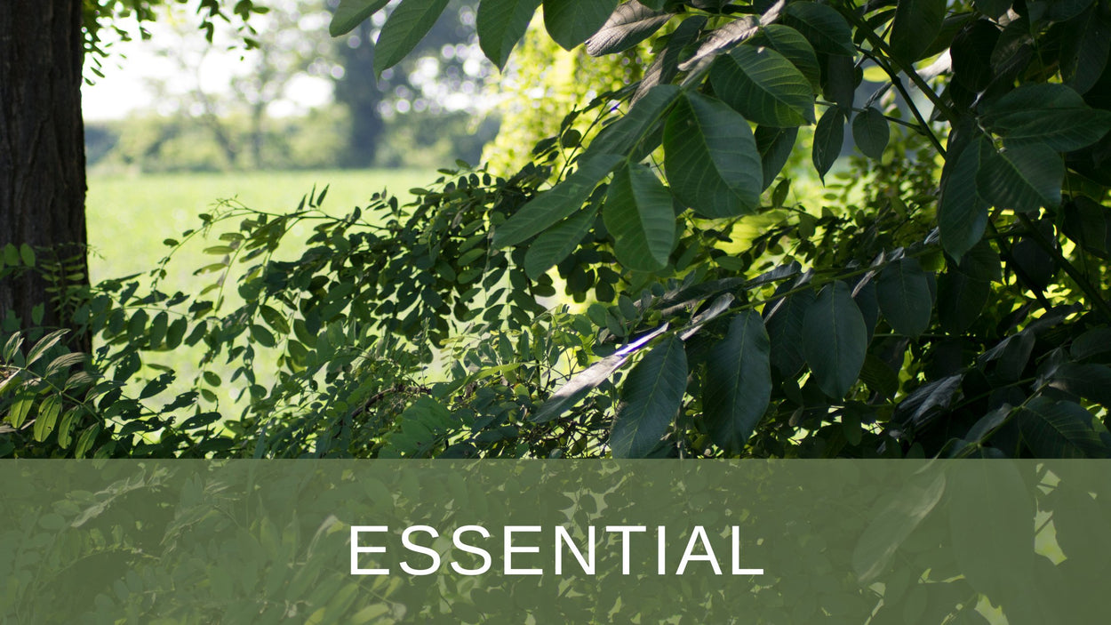 Essential