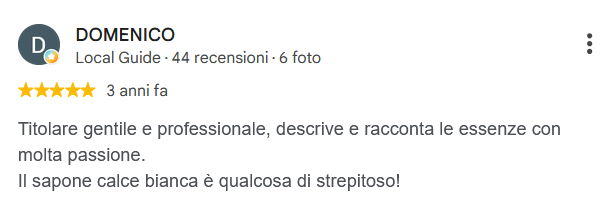 Recensione Google